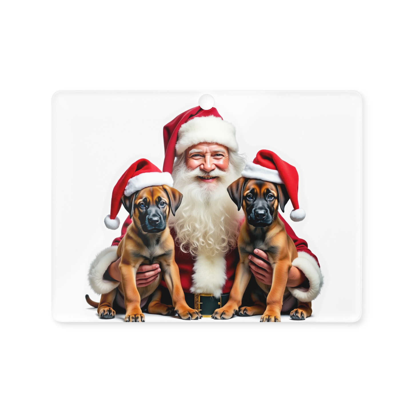 Belgian Malinois Puppies with Santa Claus Acrylic Ornament