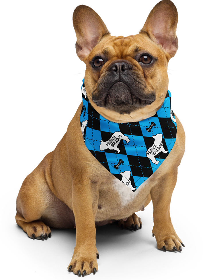 French Bulldog wearing a blue argyle bandana by Dog Artistry